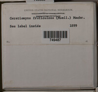 Image Associated With the Occurence